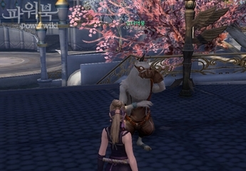 Sanctum NPC